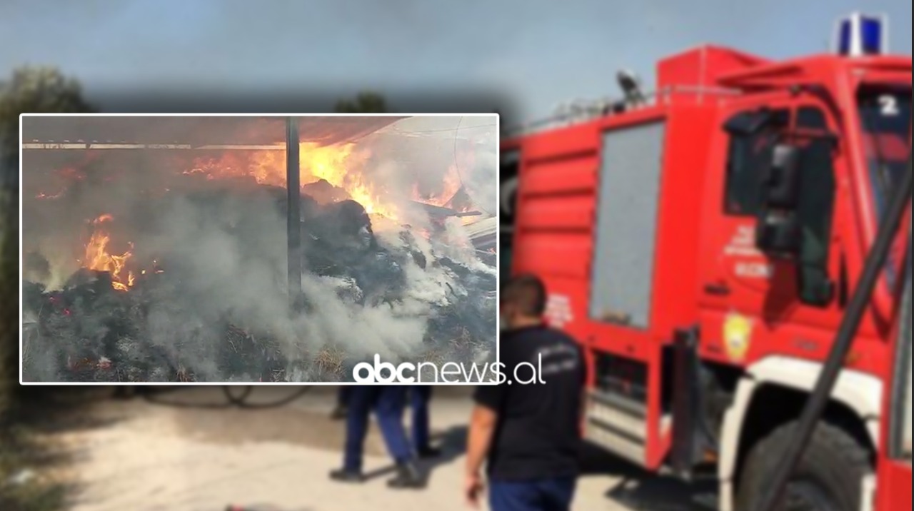 Zjarr në një magazinë në Kurbin, banori: E thirrëm zjarrfikësen por erdhi pa ujë