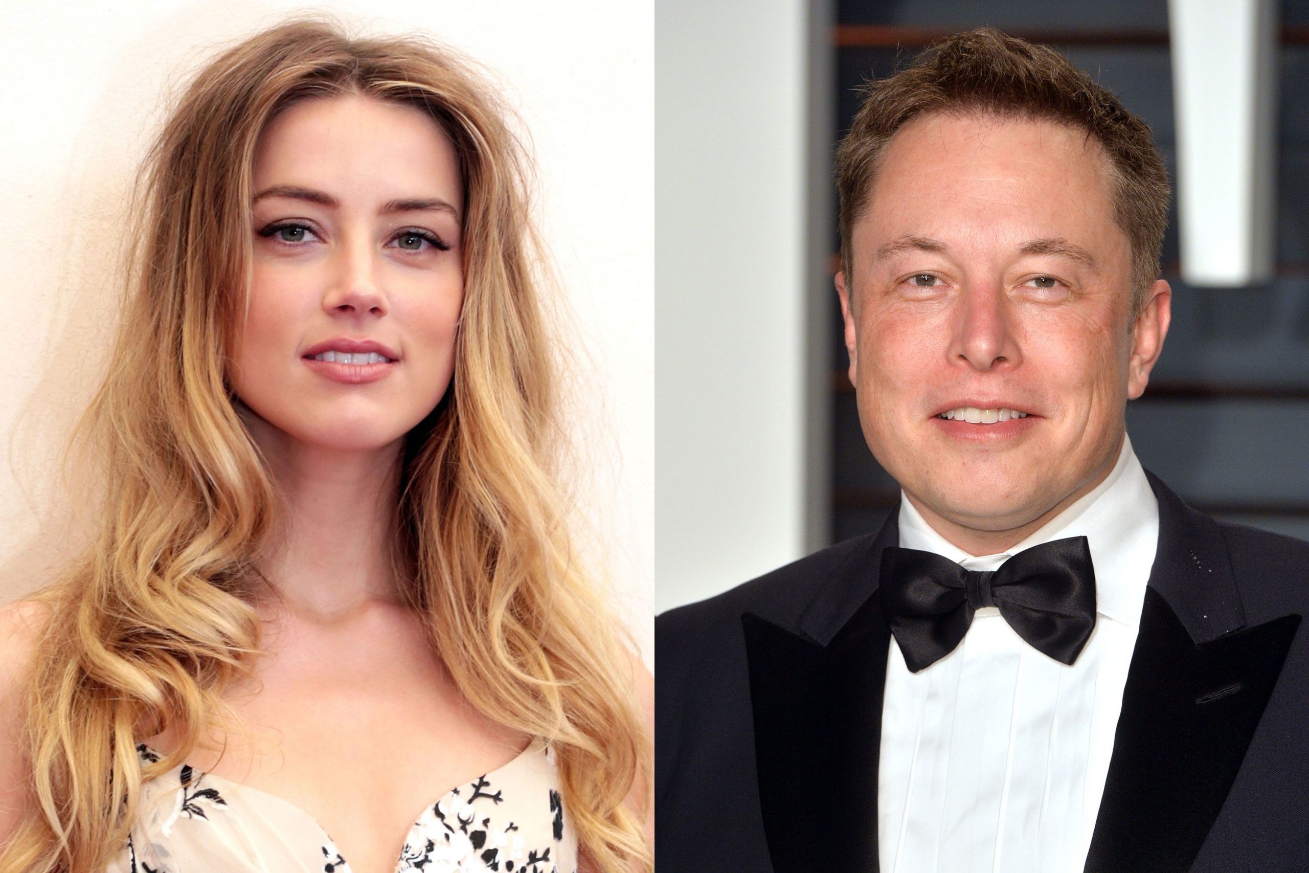 Elon Musk mori në drejtim Twitter, Amber Heard bën gjestin e papritur