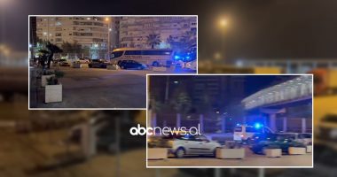 Task-Forca aksion në Portin e Durrësit, qeni antidrogë zbulon mbi 33 kg “të bardhë”, vinte nga Ekuadori