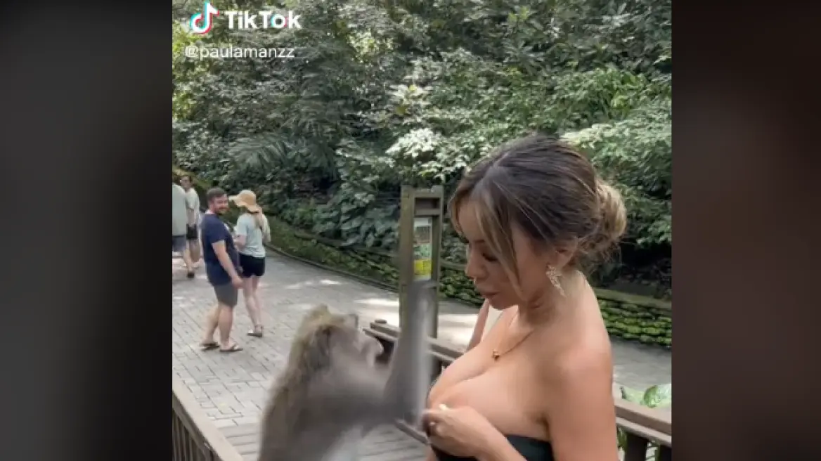 VIDEO/ Majmuni tenton t’i heqë bluzën modeles, e qëllon me shuplakë kur 28-vjeçarja e ndalon