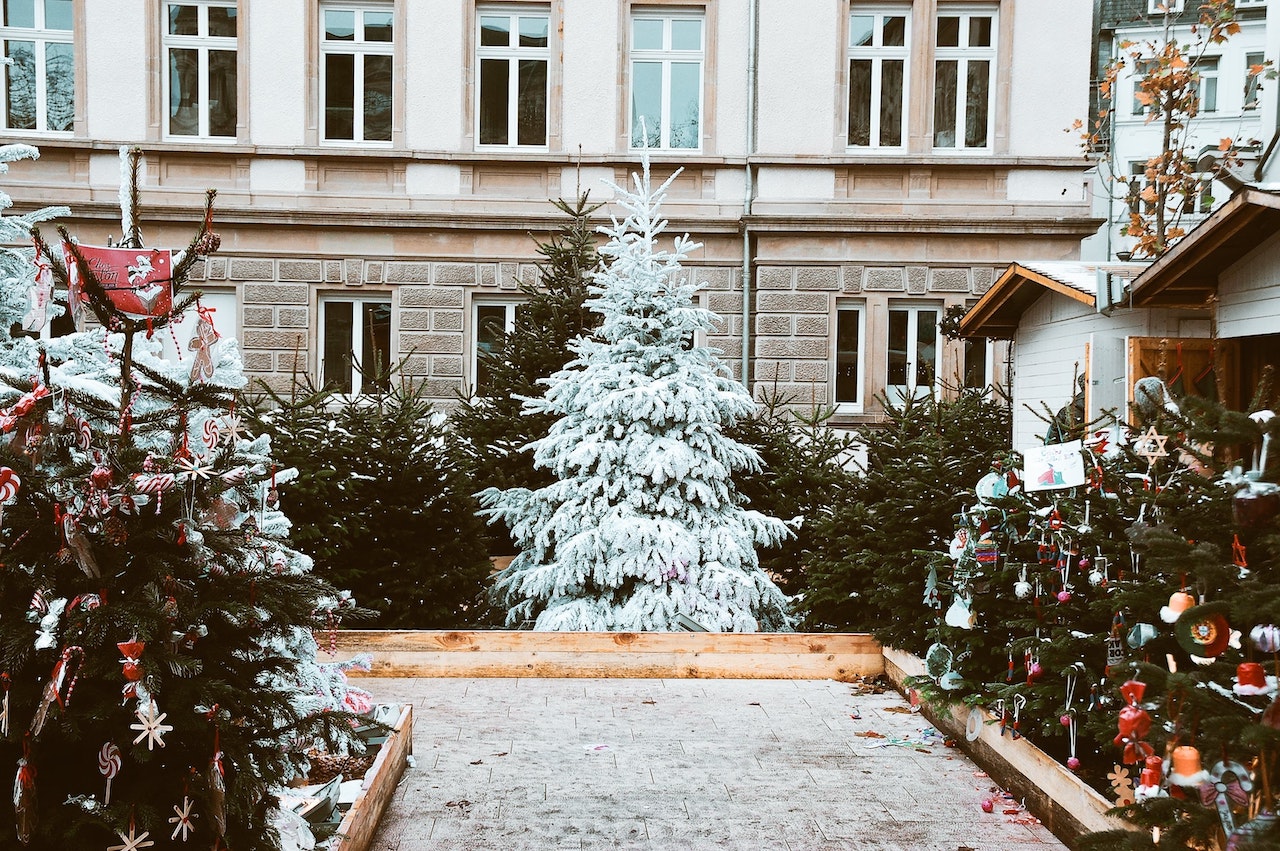 Pa asnjë detaj të kuq, 3 pemët e Krishtlindjeve që duken të shtrenjta dhe elegante