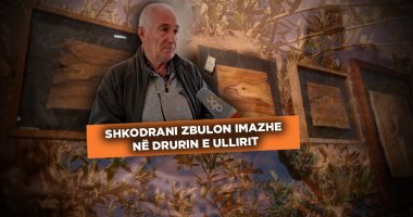 Mrekullitë e pemës së shenjtë, shkodrani zbulon imazhe në drurin e ullirit