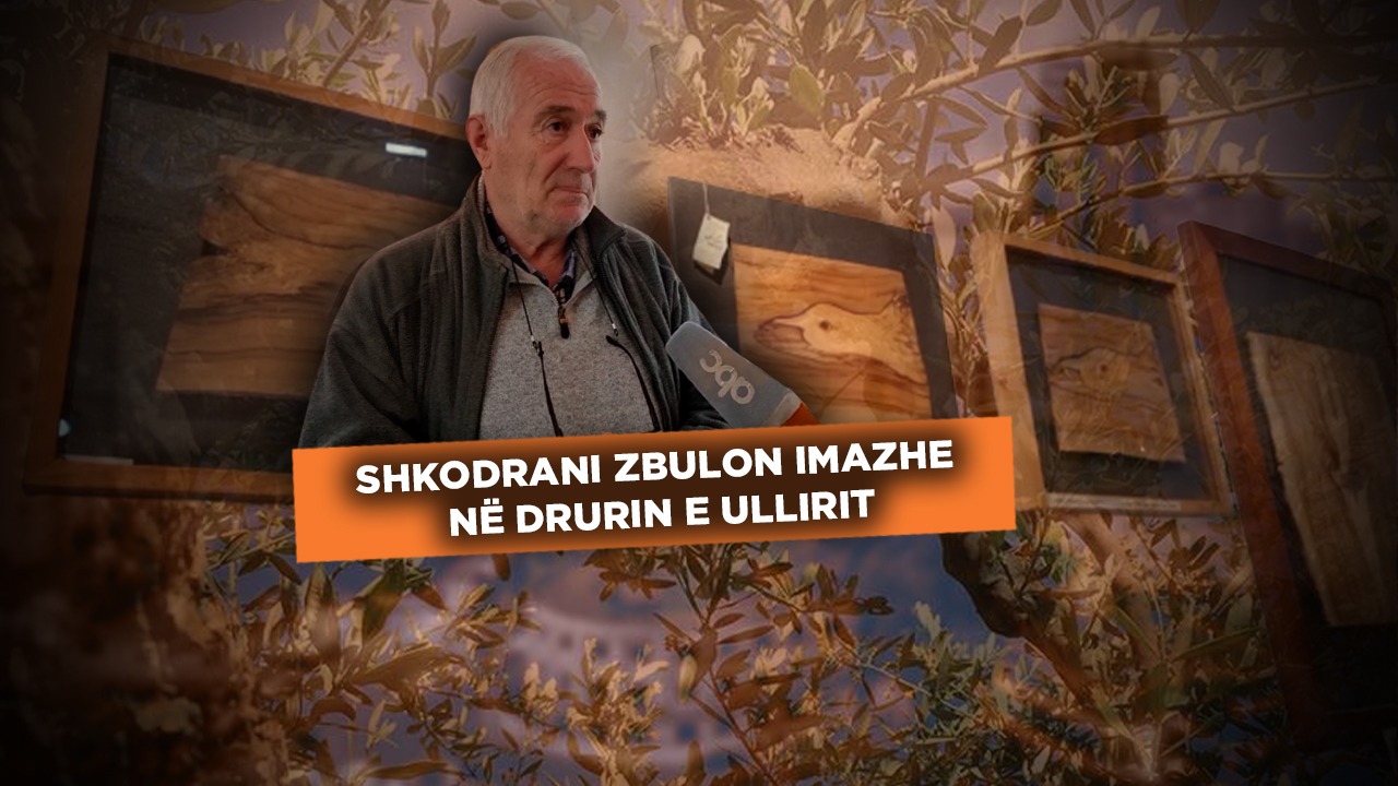 Mrekullitë e pemës së shenjtë, shkodrani zbulon imazhe në drurin e ullirit