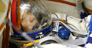 Miliarderi japonez do të niset për në Hënë, zbulon personazhet e njohur që do të marrë me vete