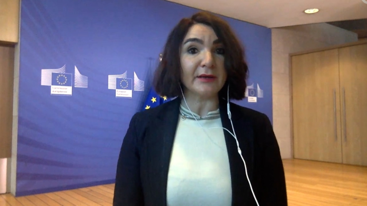 Skandali i europarlamentarëve, Zykaj: Tërmet në Bruksel