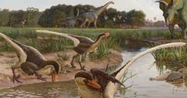 Ja me çfarë shpejtësie ecnin dinozaurët