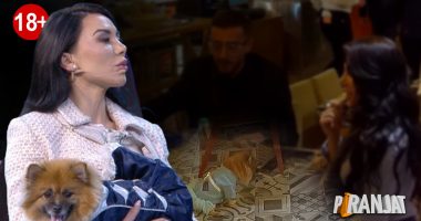 Dorina Mema “bie” në gracën e “Piranjave”, a do t’i pranojë 5 mijë euro që qenushja “Boo” të luajë në film pornografik?