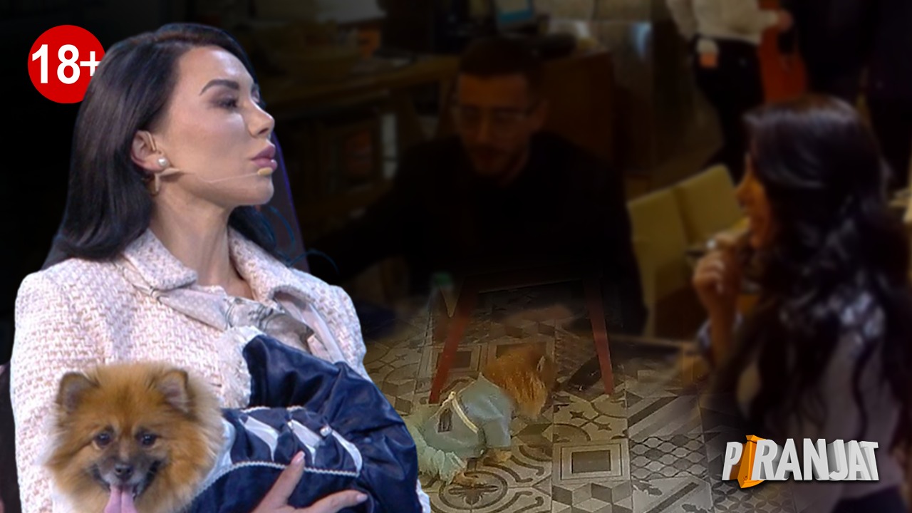 Dorina Mema “bie” në gracën e “Piranjave”, a do t’i pranojë 5 mijë euro që qenushja “Boo” të luajë në film pornografik?