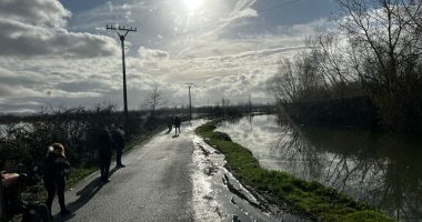 Situata e reshjeve në vend, kuotat në lumenj janë normale, probleme me energjinë në disa fshatra