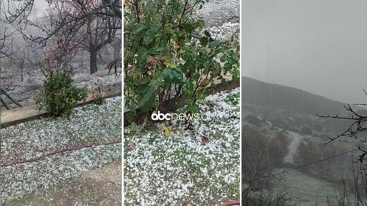 Stuhi dhe breshër në Librazhd e Përrenjas, dëmtohen të mbjellat e banorëve
