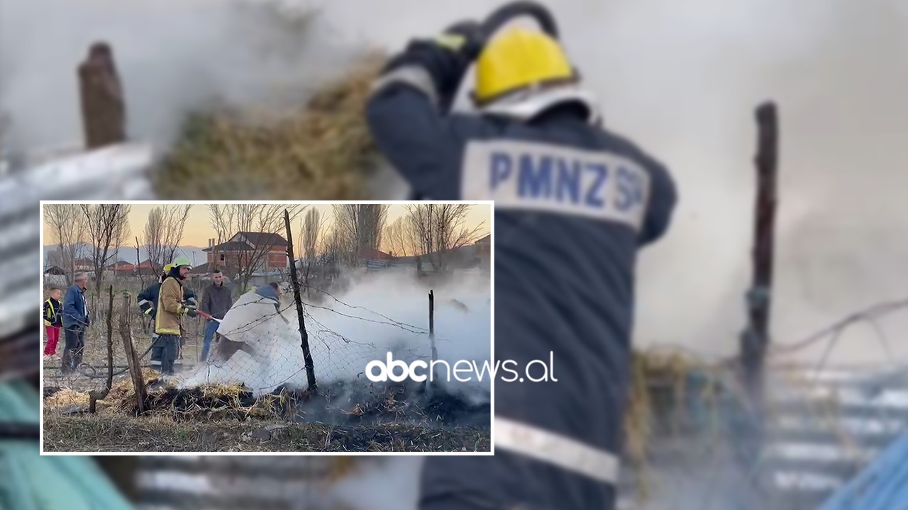 VIDEO/ Shkrumbohet nga flakët hangari në Maliq, raportohen dëme materiale