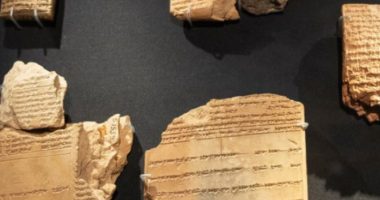 Kush e shpiku kartën e identitetit