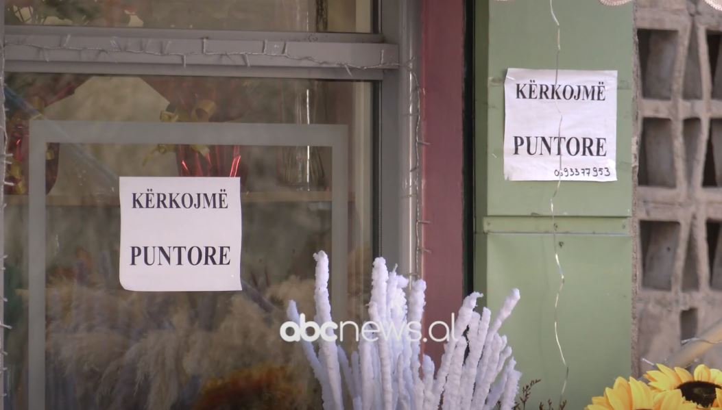 Bizneset e vogla, motori i punësimit/ INSTAT: Gjatë 2024 punësonin rreth 1500 persona më tepër se një vit më parë