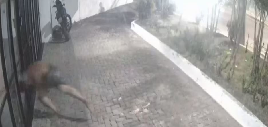 VIDEO/ Burri thyen me kokë xhamin e dritares në tentativë për të përdhunuar një grua