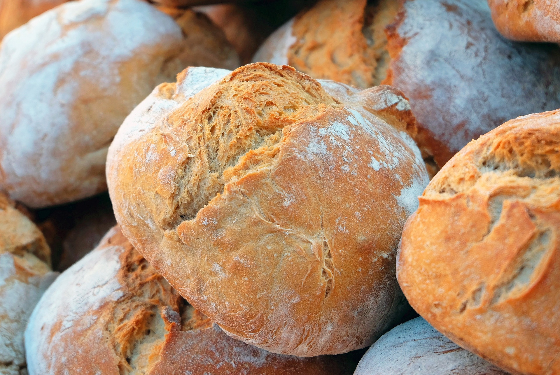 Origjina e bukës: Ushqimi më i konsumuar në histori