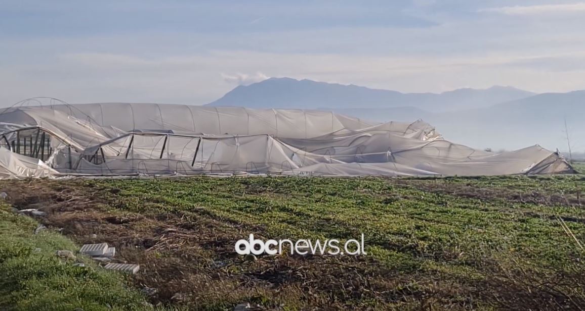 Stuhitë e erës dëmtojnë serat, dëme të pariparueshme në Fier dhe Berat