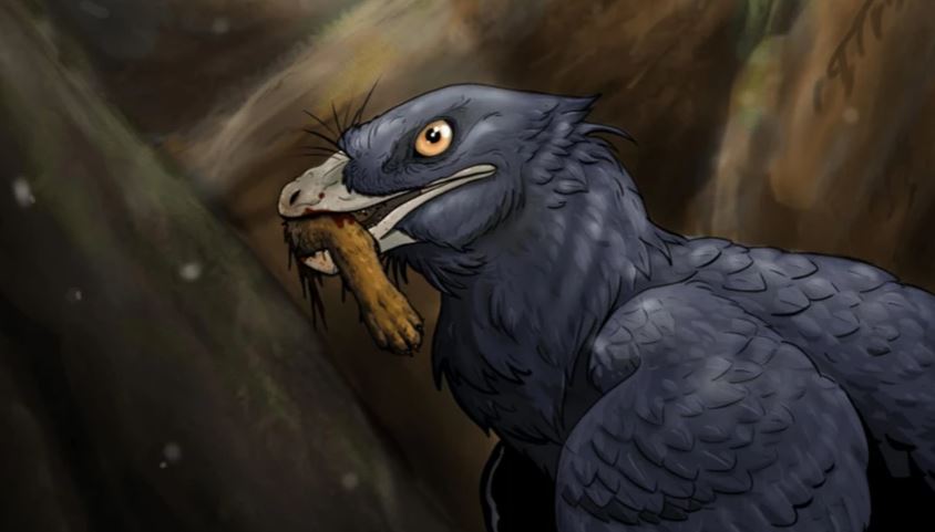 Shkencëtarët zbulojnë provat e para të një dinosauri që hante një gjitar