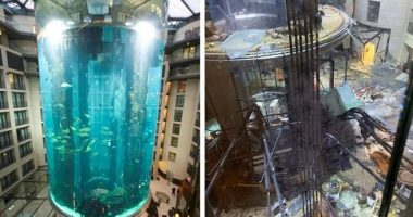 VIDEO/ Shpërthen akuariumi gjigant i Berlinit me 1500 peshq, plagosen 2 persona