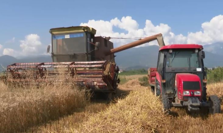 Maqedonia e Veriut e varur nga importi i ushqimeve