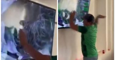 VIDEO/ Çmendet tifozi meksikan, shkatërron me thikë televizorin