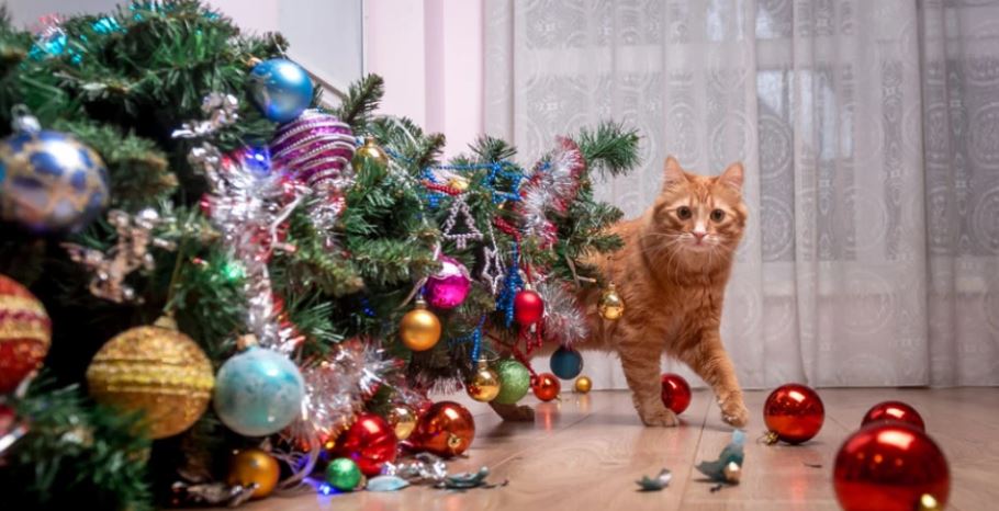 Keni vendosur pemën e Vitit të Ri  Zbuloni i t i mbani kafshët tuaja shtëpiake larg dekorimeve