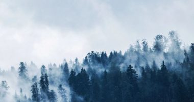 Kur vjen zyrtarisht dimri?