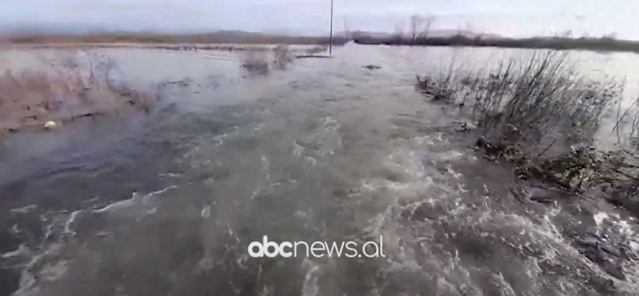 2900 hektar të përmbytura në Shkodër, 550 ha mbeten ende nën ujë në Lezhë