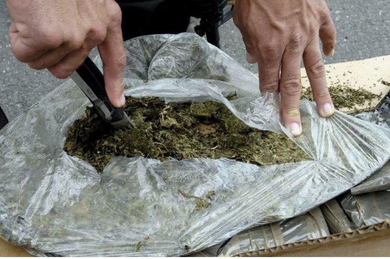 Shkatërrohet grupi kriminal në Austri, arrestohen 5 shqiptarë, sekuestrohet marijuanë me vlerë 260 mijë euro