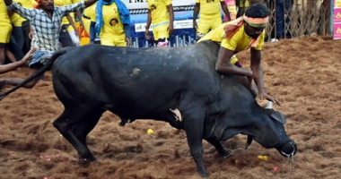 Ndeshja me dema del nga situata, dhjetëra të plagosur në Indi
