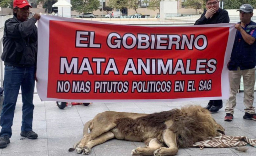 Luani i ngordhur jashtë pallatit presidencial, përshkallëzohen protestat në Kili