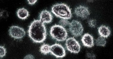 Regjistrohet rasti i parë, nënvarianti i Omicron mbërrin dhe në Maqedoninë e Veriut