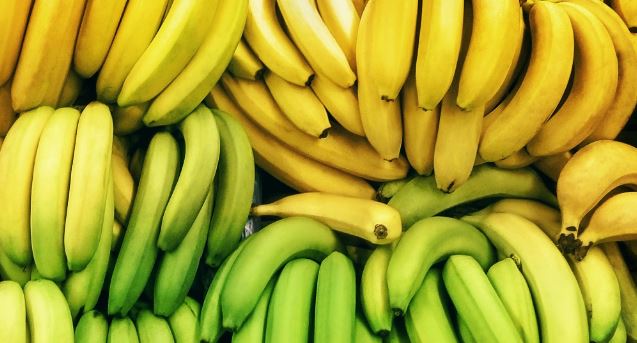 Cilat janë më të mira për shëndetin tonë, bananet e pjekura apo jeshile?