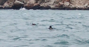 Bullgaria çaktivizon minat që lëvizin pranë bregut të Detit të Zi