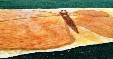 Artistja krijon pikturën më të madhe në botë me erëza