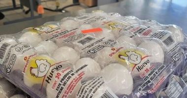 Rritja e çmimit të vezëve, zyrtarët amerikanë: Rriten përpjekjet për t’i kontrabanduar ato nga Meksika