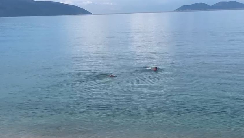 VIDEO/ Në Vlorë plazhi nuk njeh stinë! Qytetarët sfidojnë të ftohtin duke u larë në det