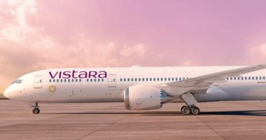 45-vjeçarja godet ekuipazhin dhe ecën gjysmë e zhveshur gjatë fluturimit në avion