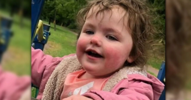 Tragjike, 4-vjeçarja sulmohet për vdekje nga qeni