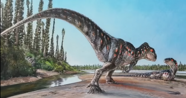 VIDEO/ Dinozauri lë shenja të përjetshmë në tokë, zbulohen gjurmë 166 milionë vjeçare