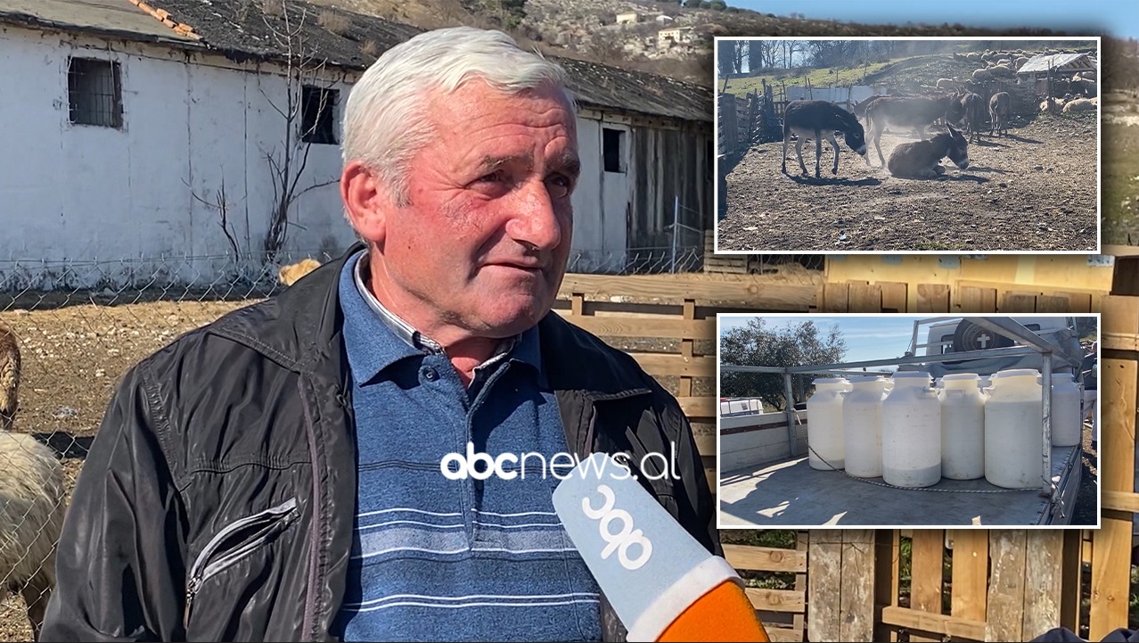 E vetmja në Gjirokastër/ Veizi nga Lazarati kërkon mbështetje për fermën e gomaricave