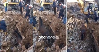 Mos e beso po deshe/ Kali del i gjallë nga rrënojat 21 ditë pas tërmetit në Turqi