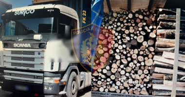 Sekuestrohen 65 m3 dru zjarri të prera në mënyrë të paligjshme, arrestohet 40-vjeçari në Elbasan