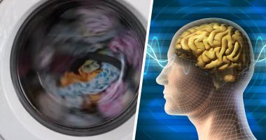 Çfarë kanë të përbashkët truri i njeriut dhe një lavatriçe?