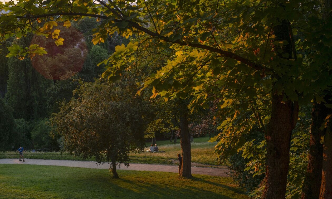 Krimi i tmerrshëm në Paris, gjendet trupi i copëtuar i një gruaje në park