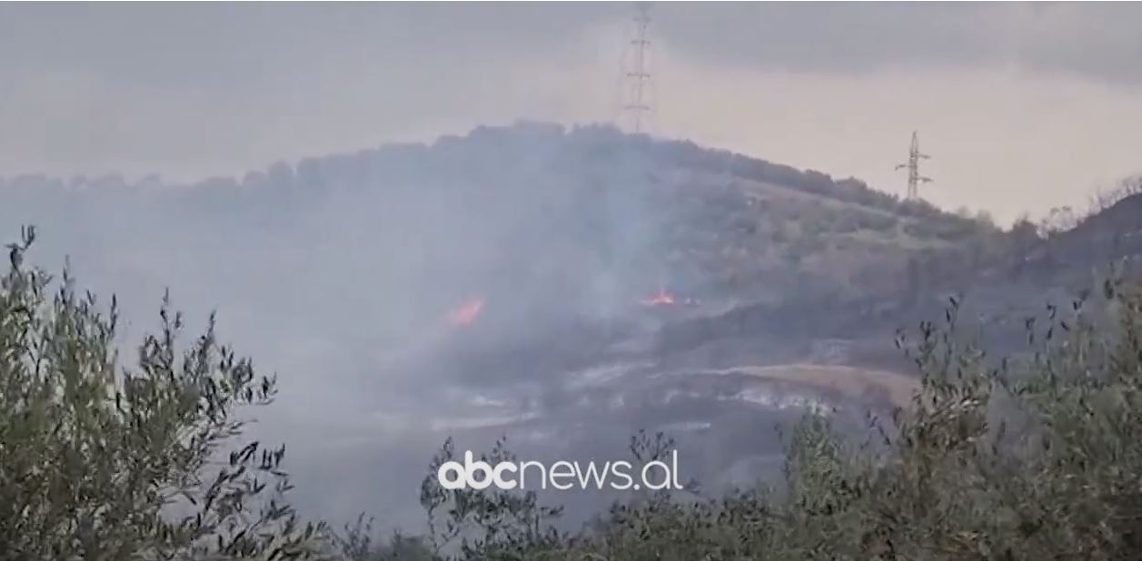 Shkrumbohen mijëra ullinj/ 10 hektarë tokë dhe 3 mijë rrënjë përfshihen nga flakët në Roskovec