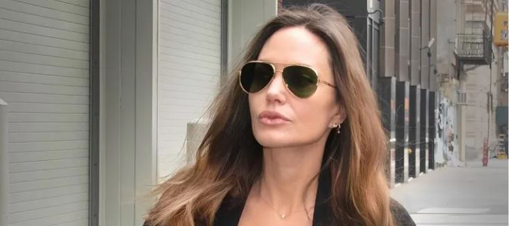 Angelina Jolie kapet “mat” duke darkuar me një aktivist miliader