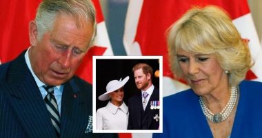 Familja mbretërore zbaton zyrtarisht rregullin e vitit 1917, ndryshimi i madh për fëmijët e Harryt