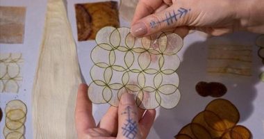 Artistja turke kthen materialet organike në vepra arti