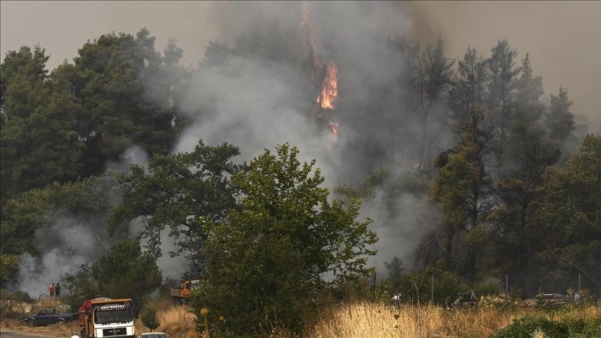 Greqi, gati 3 milionë hektarë të djegura nga zjarret në 20 vitet e fundit