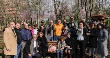 Një pemë dhe një stol në Parkun e Liqenit për balerinën e ndjerë, Hueyda El Saied